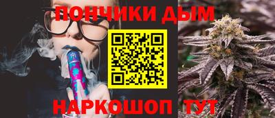 СК Дубна