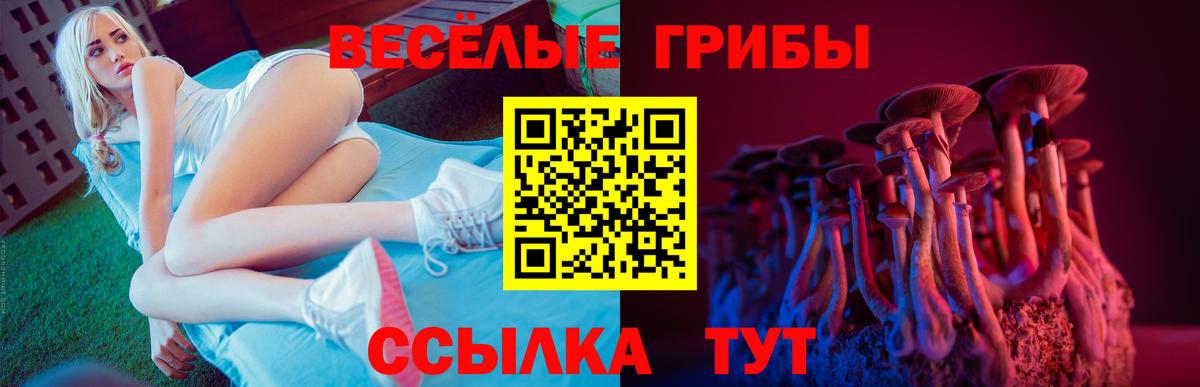Псилоцибиновые грибы ЛСД  Вход с VPN  Кунгур 